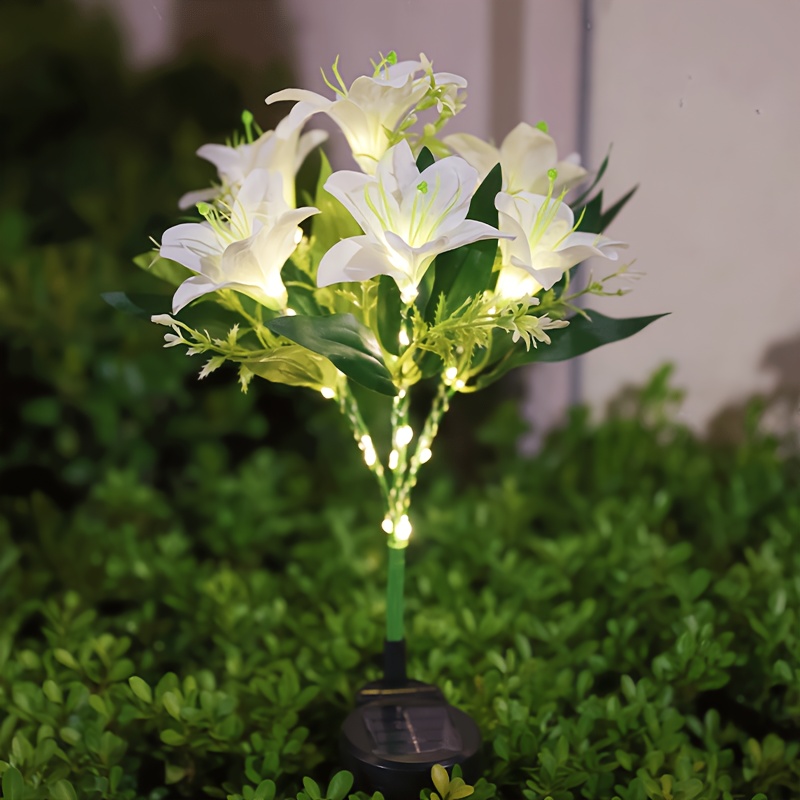 Lampu Taman Tenaga Surya Multi - Outdoor Lighting Effects ulasan dan harga